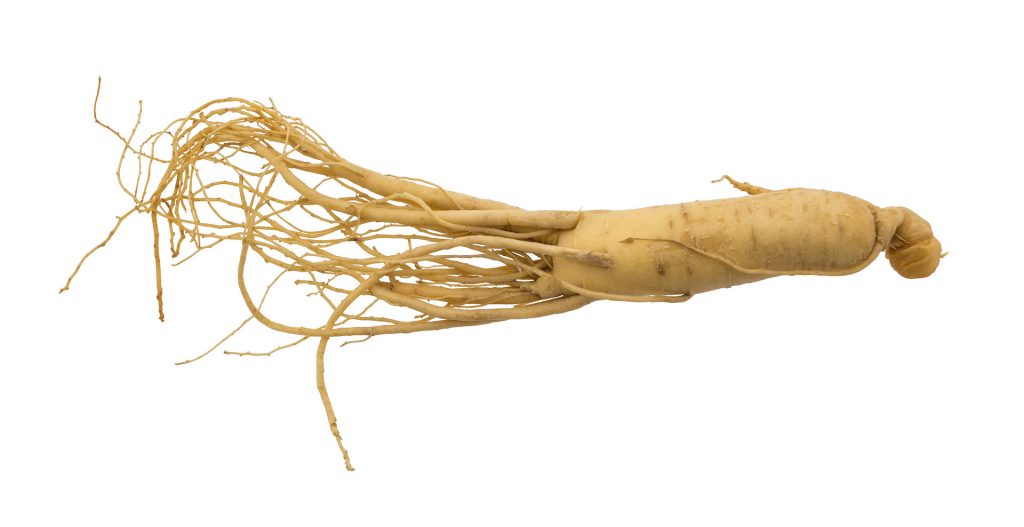 Ginseng Root